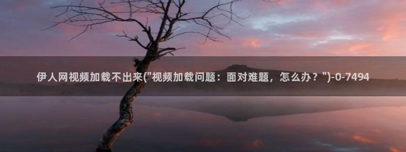 伊人猫咪在线视屏