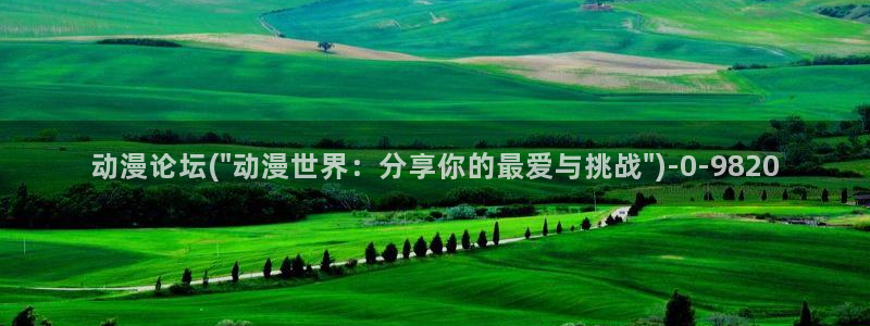 功夫动漫