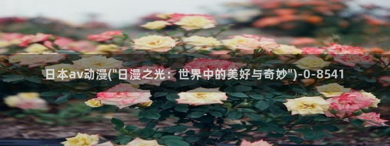 未来日记动漫