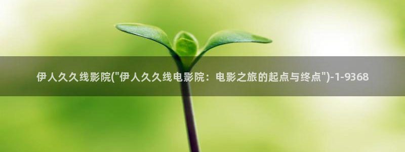 伊人 综合网视频教程